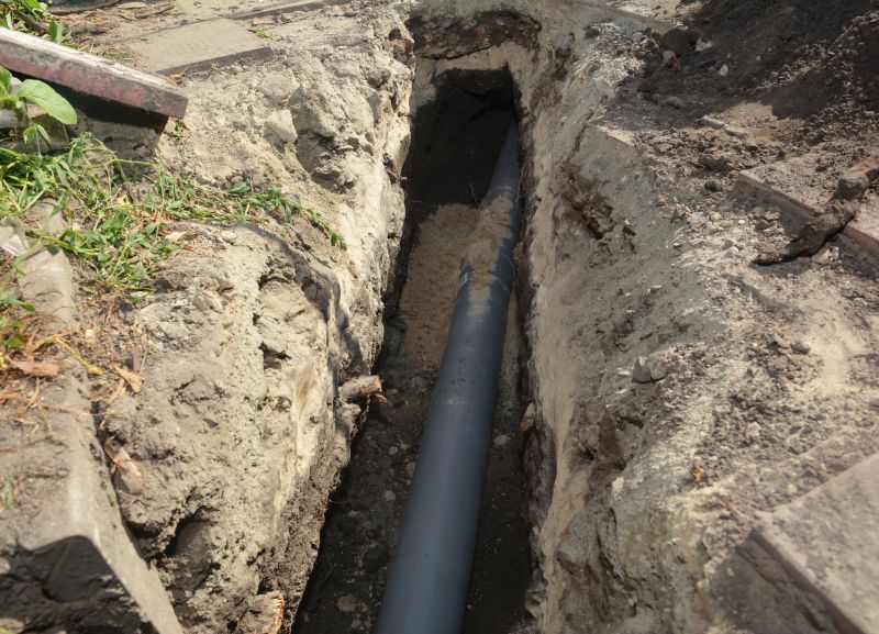 Sewer Service in Longmont, CO